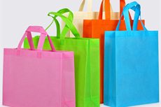 Non Woven Bag (19)