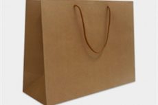 Paper Pouch (13)