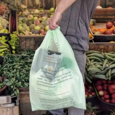 Biodegradable plastic shopping bag for vegetables and supermarkets