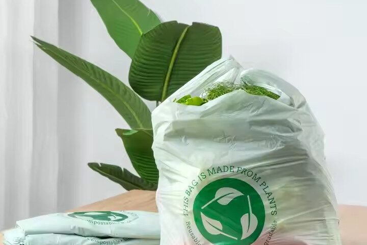 Compostable shopping bag for grocery and vegetable use (5) Biodegradable plastic shopping bag for vegetables and supermarkets