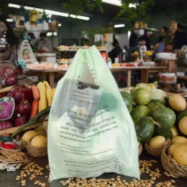 Biodegradable t-shirt plastic bag with eco-friendly materials