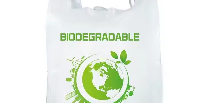Wholesale biodegradable bio plastic bag with custom logo for grocery packaging