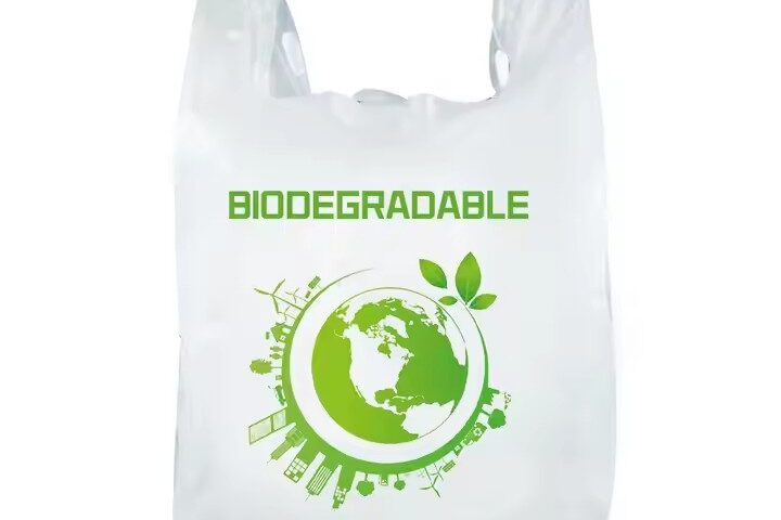 Wholesale biodegradable bio plastic bag with custom logo for grocery packaging