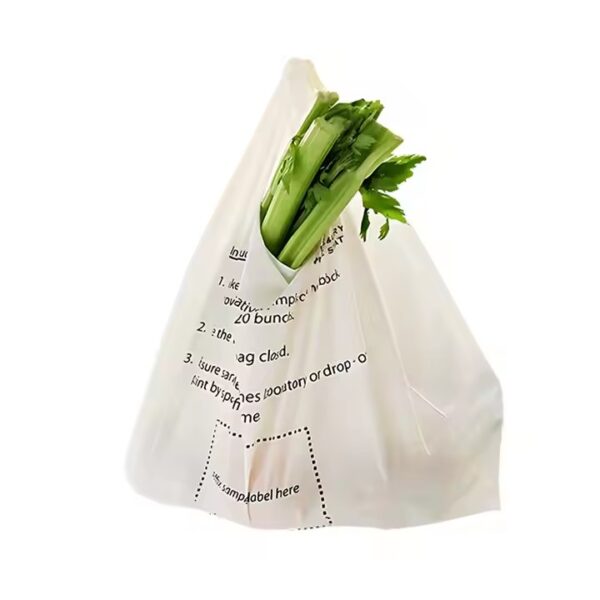 Custom size foldable biodegradable plastic shopping bag