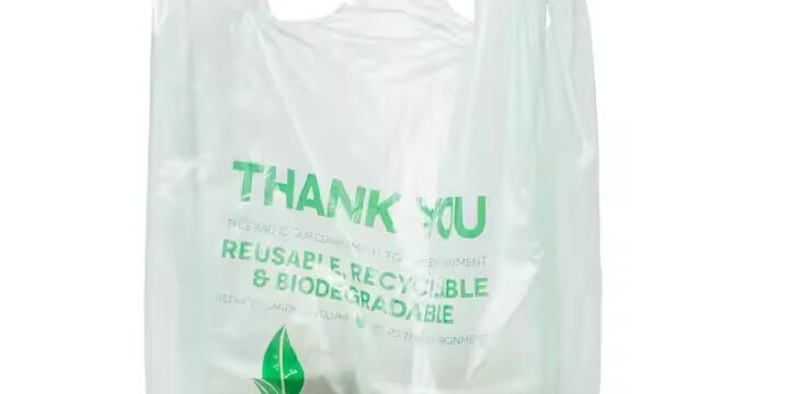 Biodegradable produce bag for supermarket fruits and vegetables